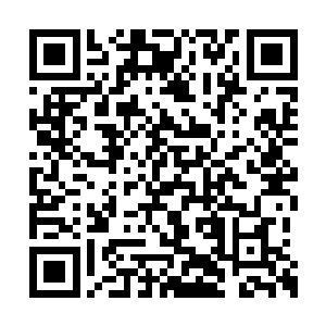 不是从五指山下脱困的齐天大圣孙悟空还能是谁二维码生成