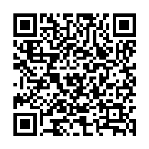 不是只有疯狂暴虐的打斗场面……它可以斗智斗勇二维码生成