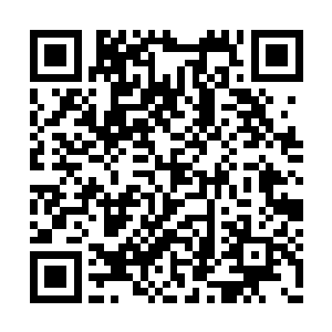 不是当初曾经一刀洞穿铜人师祖的最强手左手刀二维码生成