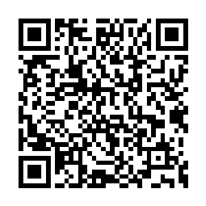 不是炼丹师的时候他对炼丹师的丹炉价格不了解二维码生成