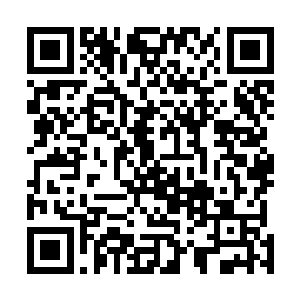 不是神兵利器更是想要破开它的蛇皮都几乎不可能的事情二维码生成