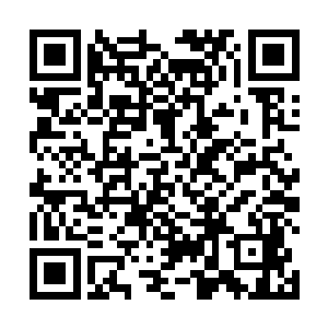 不是被墨景祈禁锢就是身在黎王府中哪里还有人肯教她二维码生成