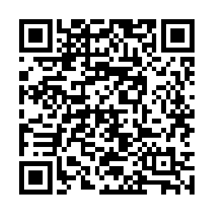 不是说今晚上的有意见旷世宝物要拿出来拍卖的吗二维码生成