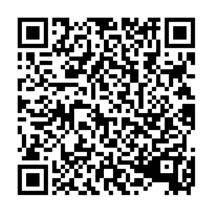 不是说你们~~最近还会坚持努力更新十章并且尽快将微博转发欠的十六章还了~~~二维码生成