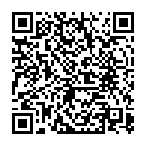 不是说她心胸真的开阔到可以无视他们对原主对小艾以及对自己的伤害二维码生成