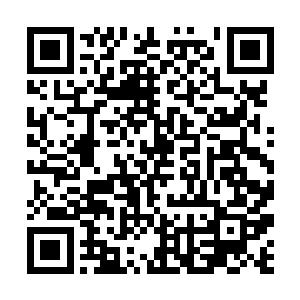 不是这样的……我……我想过要给大小姐正名的……二维码生成