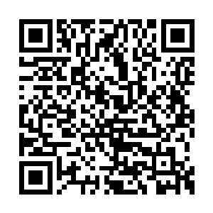 不是都该偏向自己有血缘关系的叔叔多一点的吗二维码生成