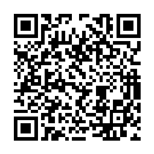 不是陛下派人去益阳城将你接回来专门救太子的吗二维码生成