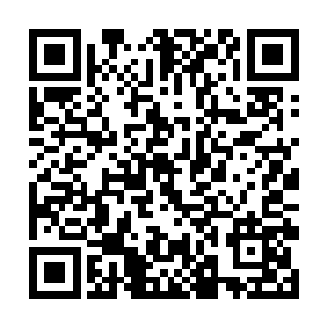 不朽血脉足以让龙皇打破自己原本所顾忌的各个方面二维码生成