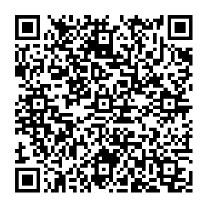 不止一个圣光帝国的军官和牧领用惨白恐惧的脸色看着张铁如流星一样消失在天空之中的身影二维码生成