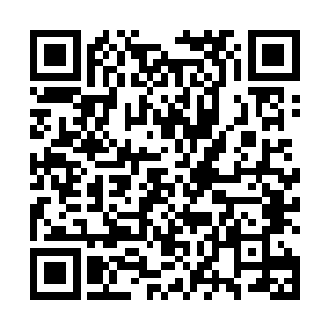 不正是那些纨侉大少富贵公子哥们应该干出来的事情吗二维码生成