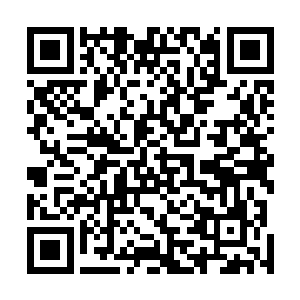 不死宗在外域蓬莱大世界购买到一具残破神躯带回的途中二维码生成