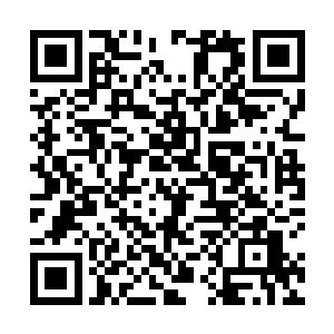 不然为什么雇佣军给富翁们做护卫保镖的业务那么多呢二维码生成