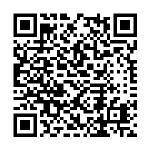 不然也不会带着一批亲信兄弟在天灰谷与天地奋斗二维码生成