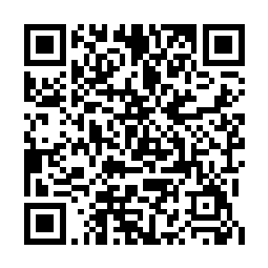 不然他真的怕大少爷下令让他把表小姐给丢出去二维码生成
