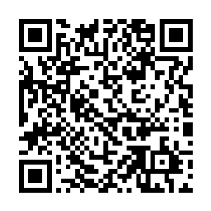 不然他这辈子都要被困在寂灭之森那个征兆里出不来二维码生成