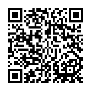 不然以秦洛和凌陨所坐的位置不可能等到她走到身边不远才发现二维码生成