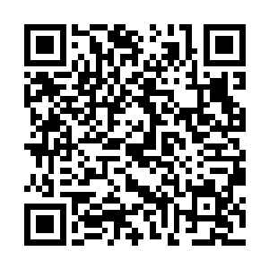 不然她也不会让流墨墨买了每人十个三十六景的分量~二维码生成
