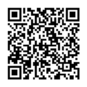 不然就只能用情人关系来说服我自己做这么多事情二维码生成