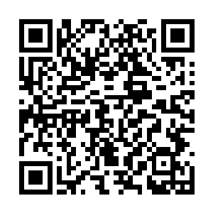 不然怎么就这样任由流言蜚语传遍了侦查部不解释二维码生成