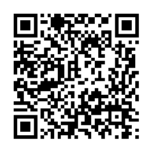 不然自己也不能收了她做亲传弟子后并没有传授她什么二维码生成