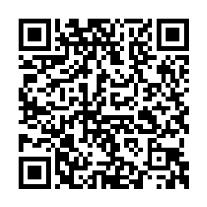 不然若弟媳知道你因着她有身孕不差都不能安心二维码生成