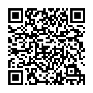 不用想也知道王山岳口中提到了许道友就是许紫烟四人二维码生成