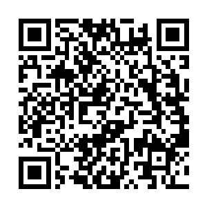 不用想李大可就知道这肯定是这吴朝的皇帝武昌沥了二维码生成