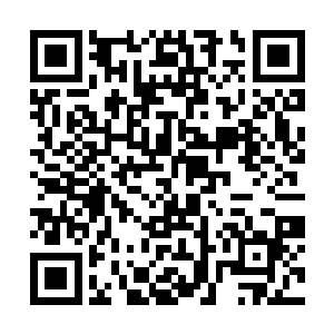 不用明天就所有人都知道他们蹭课连张合同都不敢给二维码生成