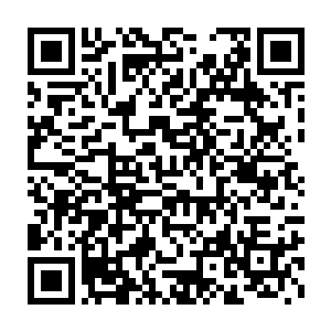 不由地将左右围绕在自己身边的科学家们很是不客气的推到了一边二维码生成