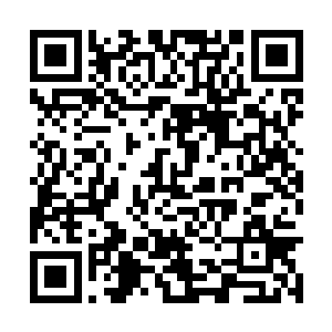 不由开始担心道魂界一行来到真凡大世界后的安危二维码生成