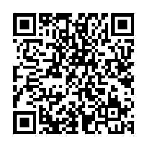 不由没好气地瞪了一眼四周一脸幸灾乐祸的星座们和流字辈小子二维码生成