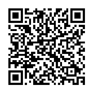 不由的看了看除却自己人和流墨墨的人之外已经空无一人的平台二维码生成