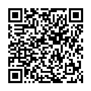 不由自主的把各自的天道世界和大道世界防护提升到最强二维码生成
