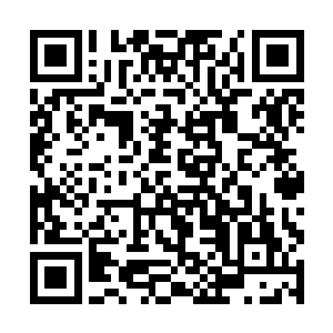 不着痕迹地扫了一旁已然将受伤的手掩于袖下的云逸二维码生成