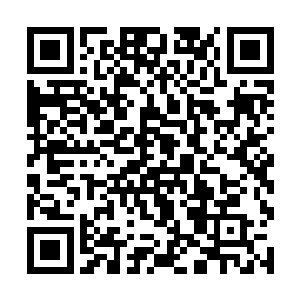 不知不觉中她浓密而卷翘的睫毛上竟落上了一片雪花二维码生成