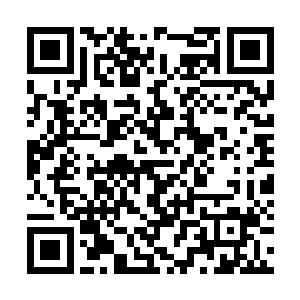 不知不觉竟然1000大章了……开书半年两百多万字二维码生成