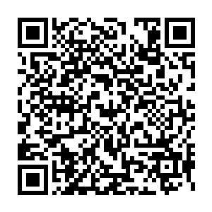不知为何……你的监视级别比小叹还要高……一直是成年特工在监视你二维码生成