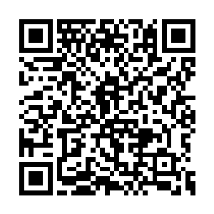 不知什么时候墨修尧已经掠到了那白衣女子跟前二维码生成