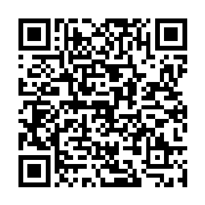 不知巫小果内心世界的严默在和动物们好说歹说后二维码生成