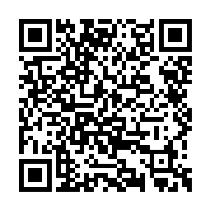 不知情的人谁能看出这帮人曾将苗毅羞辱的很惨二维码生成