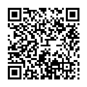 不知有多少海族和其他水族高阶修士死在了他们手中二维码生成