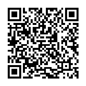 不知比以前强悍了多少倍的瑰宝之力翻腾不休的从其间汹涌出来二维码生成
