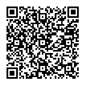 不知能否告知这个深渊海沟中各个交易所的讯息以及在这里居住的海族的一些情况二维码生成