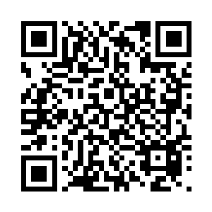 不知道为什么太初坊市一直没有升级二维码生成