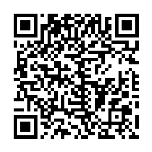 不知道为什么洛离脑中出现了当年灵蝶宗所听到的四个字二维码生成