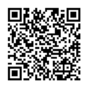 不知道为什么这个试炼场却变成了一个主角的崛起之路二维码生成