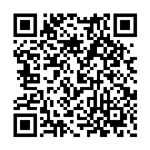 不知道什么时候又从遗迹里挖出来一头机械泰坦二维码生成