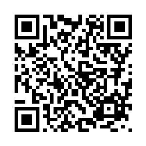 不知道别的上古巨兽我能不能对付二维码生成