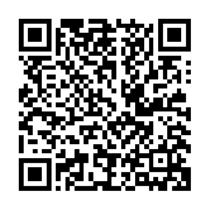 不知道到底是什么人竟然能够将玄黄宗的镇宗绝学拿出来拍卖二维码生成